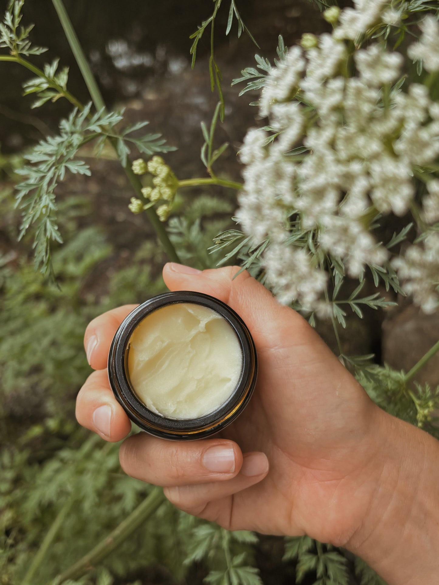 Vanilla Tallow Butter