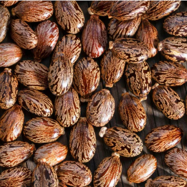 Aceite de Ricino
